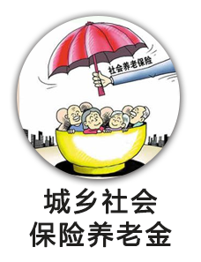 城乡社会保险养老金