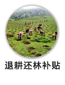 退耕还林补贴
