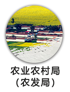 农业农村局（农发局）