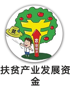 扶贫产业发展资金