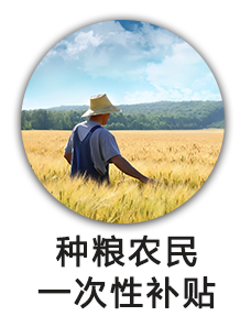 种粮农民一次性补贴